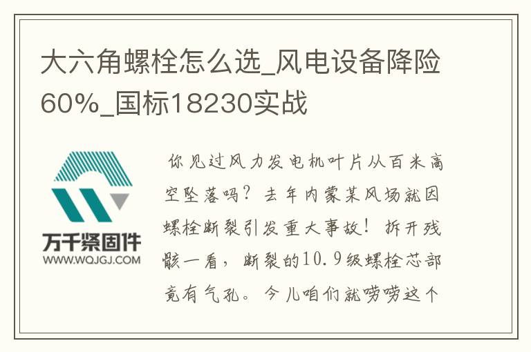 大六角螺栓怎么選_風(fēng)電設(shè)備降險(xiǎn)60%_國(guó)標(biāo)18230實(shí)戰(zhàn)