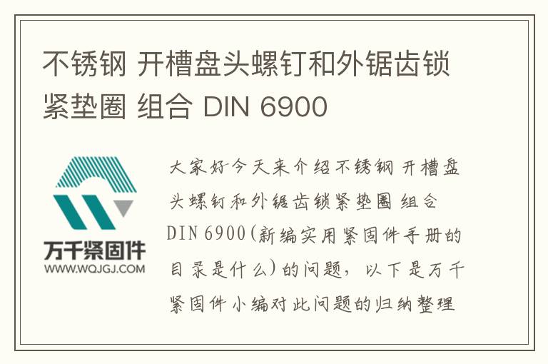不銹鋼 開(kāi)槽盤頭螺釘和外鋸齒鎖緊墊圈 組合 DIN 6900