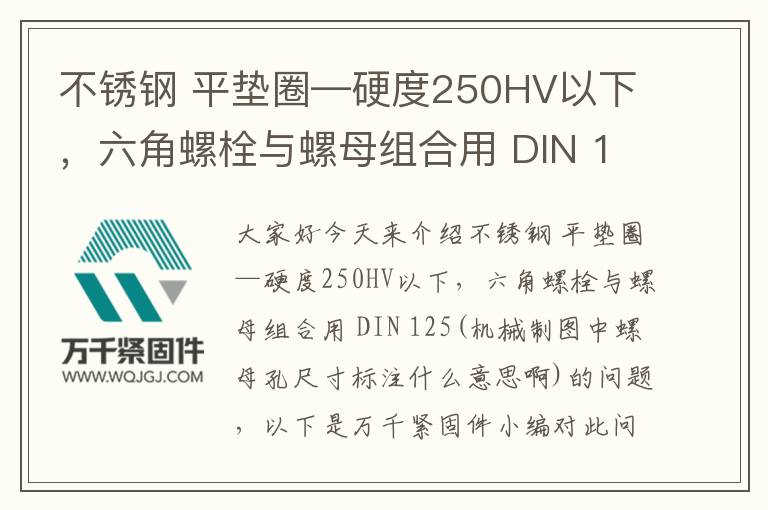 不銹鋼 平墊圈—硬度250HV以下，六角螺栓與螺母組合用 DIN 125