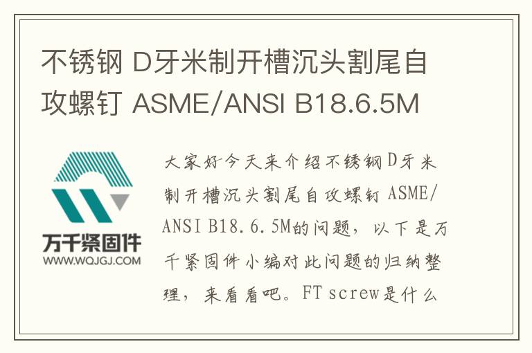 不銹鋼 D牙米制開槽沉頭割尾自攻螺釘 ASME/ANSI B18.6.5M